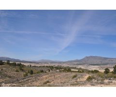 Parcela en Venta en Jumilla, Murcia