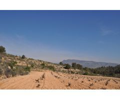 Parcela en Venta en Jumilla, Murcia