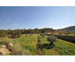 Parcela en Venta en Jumilla, Murcia