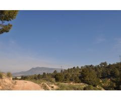 Parcela en Venta en Jumilla, Murcia