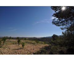 Parcela en Venta en Jumilla, Murcia