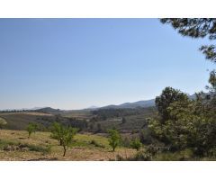 Parcela en Venta en Jumilla, Murcia