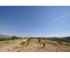 Parcela en Venta en Jumilla, Murcia