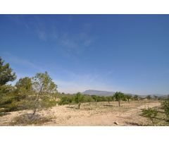 Parcela en Venta en Jumilla, Murcia