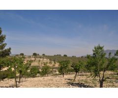 Parcela en Venta en Jumilla, Murcia