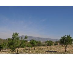Parcela en Venta en Jumilla, Murcia
