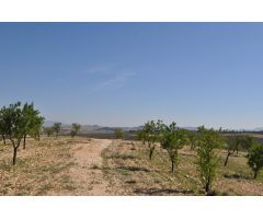 Parcela en Venta en Jumilla, Murcia