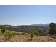 Parcela en Venta en Jumilla, Murcia