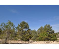Parcela en Venta en Jumilla, Murcia