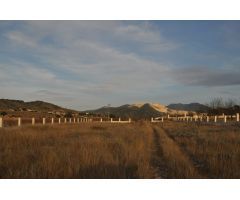 Parcela en Venta en Abanillas, Murcia