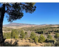 Parcela en Venta en Jumilla, Murcia