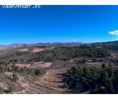Parcela en Venta en Jumilla, Murcia