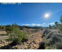 Parcela en Venta en Jumilla, Murcia