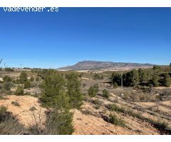 Parcela en Venta en Jumilla, Murcia