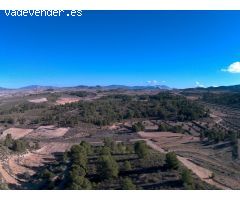Parcela en Venta en Jumilla, Murcia