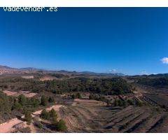 Parcela en Venta en Jumilla, Murcia