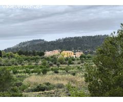 Casa de campo en Venta en Monovar - Monover, Alicante