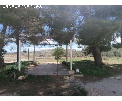Casa de campo en Venta en Yecla, Murcia