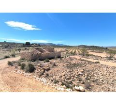 Finca de Recreo en Venta en Pinoso, Alicante