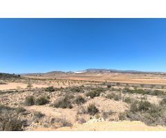 Finca de Recreo en Venta en Pinoso, Alicante