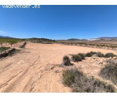 Finca de Recreo en Venta en Pinoso, Alicante