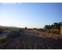 Finca de Recreo en Venta en Pinoso, Alicante