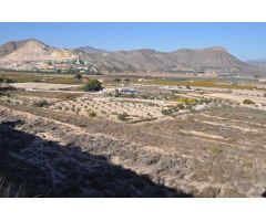 Finca de Recreo en Venta en San Vicente del Raspeig, Alicante