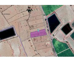 Parcela en Venta en Monovar - Monover, Alicante