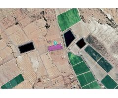 Parcela en Venta en Monovar - Monover, Alicante