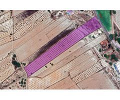 Parcela en Venta en Monovar - Monover, Alicante