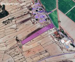 Parcela en Venta en Monovar - Monover, Alicante