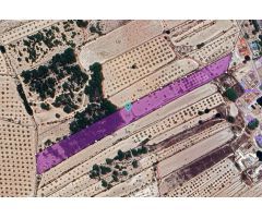 Parcela en Venta en Monovar - Monover, Alicante
