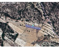Parcela en Venta en Monovar - Monover, Alicante