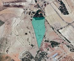 Parcela en Venta en Monovar - Monover, Alicante