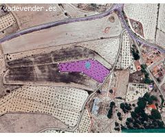 Parcela en Venta en Monovar - Monover, Alicante