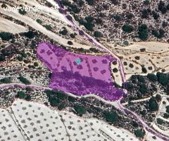 Parcela en Venta en Monovar - Monover, Alicante