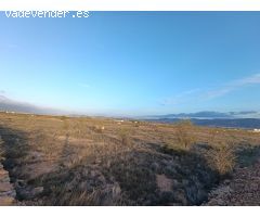 Parcela en Venta en Pinoso, Alicante
