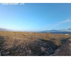 Parcela en Venta en Pinoso, Alicante