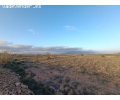 Parcela en Venta en Pinoso, Alicante