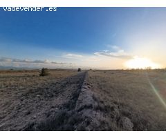 Parcela en Venta en Pinoso, Alicante