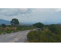 PARCELA  LA NUCIA