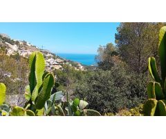 PARCELA EN ALTEA