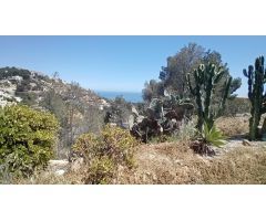 PARCELA EN ALTEA