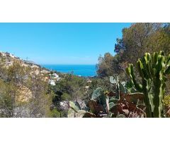 PARCELA EN ALTEA