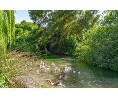 ¿Sueñas con vivir en plena naturaleza, rodeado de tranquilidad y belleza?
