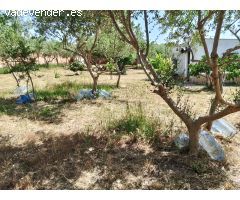 TERRENO DE 1300M² LLANO EN EL GRANDET