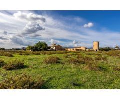 Masía en Palma de Mallorca de 1000 m² – Terreno de 34,000 m² con Inmenso Potencial