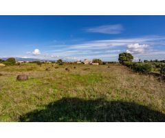 Masía en Palma de Mallorca de 1000 m² – Terreno de 34,000 m² con Inmenso Potencial