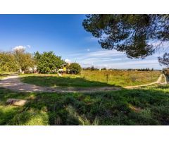 Masía en Palma de Mallorca de 1000 m² – Terreno de 34,000 m² con Inmenso Potencial