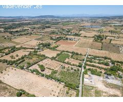 Terreno rústico urbanizable en Manacor zona Mirabo con proyecto básico